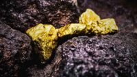 Gold Mine Discovered in Andhra Pradesh