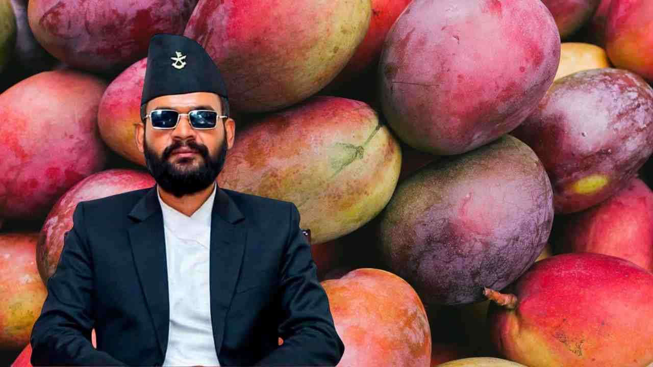 Indian Mango