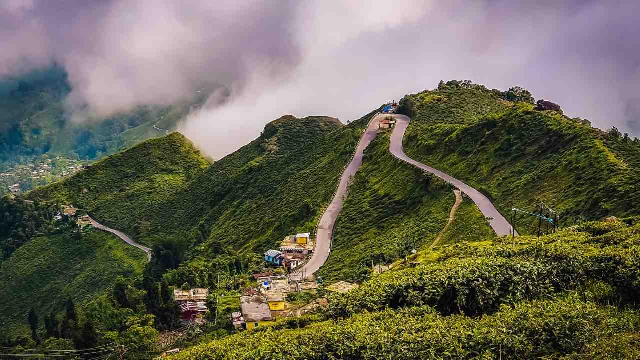 Kaiyavir Darjeeling