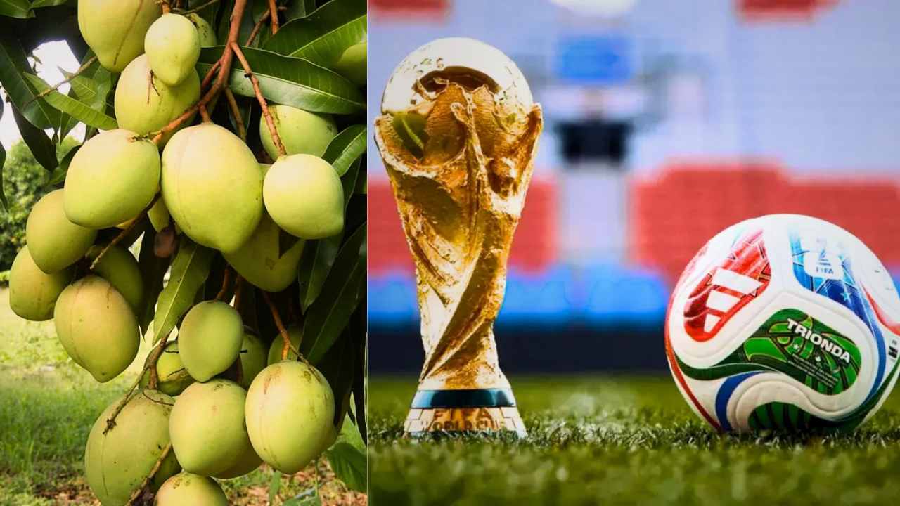 Malda Mangoes in World Cup