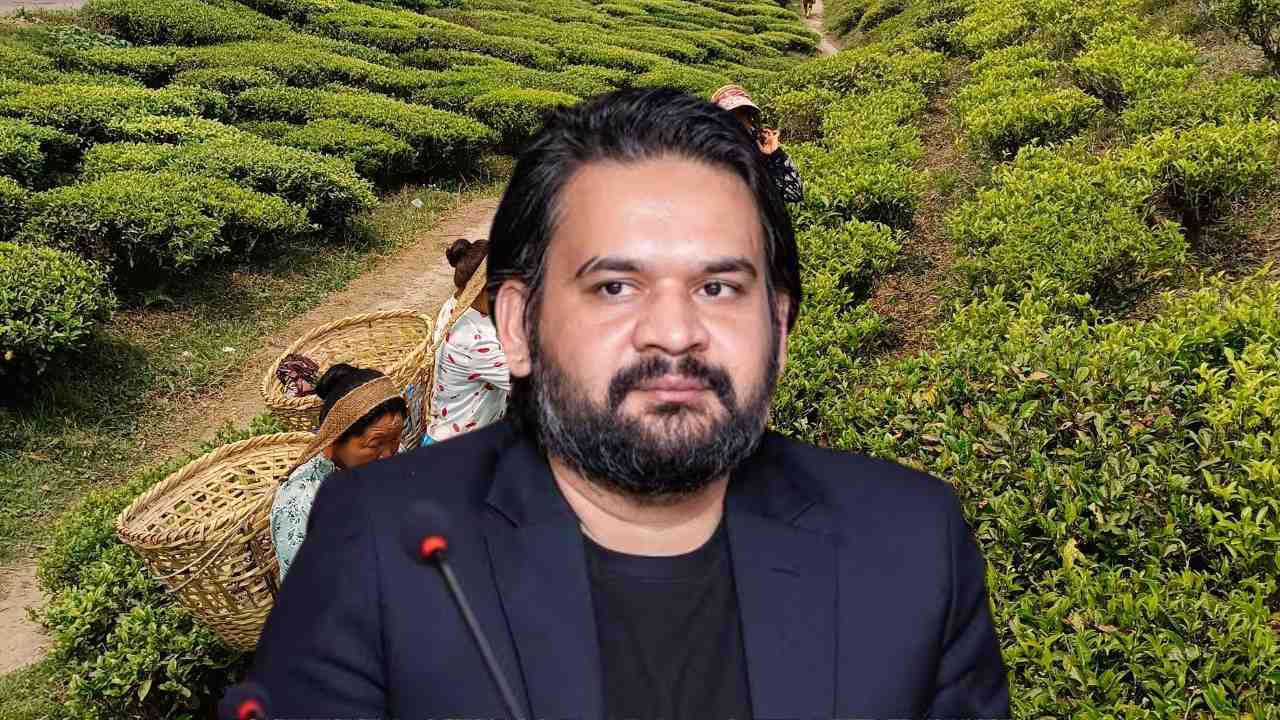 Nepal tea