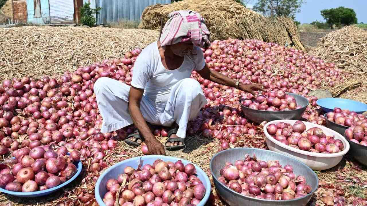 Onion price