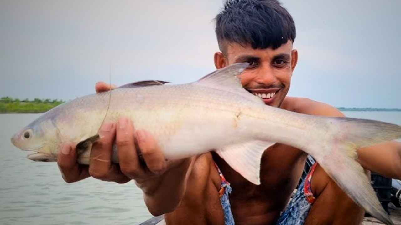 Sele Fish