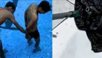 Snake in Underwear Viral Video