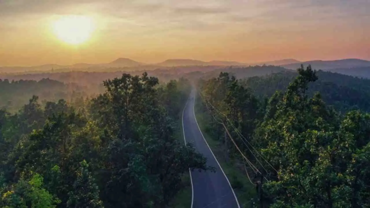 Sutan Forest bankura