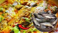 Tangra Fish Curry