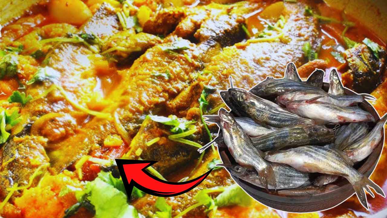 Tangra Fish Curry