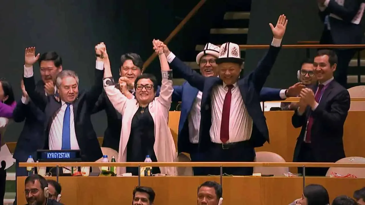 UNSC NEW MEMBER