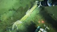Whale Graveyard in Indian Ocean