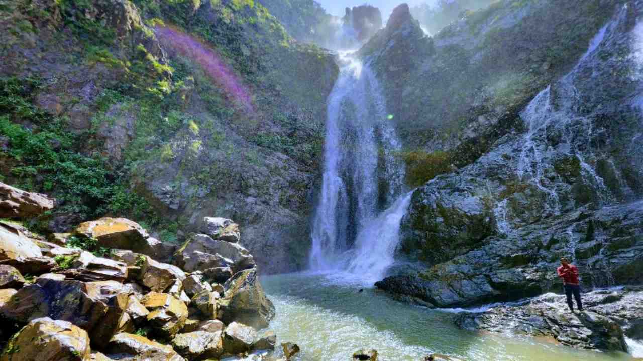 dhangikusum