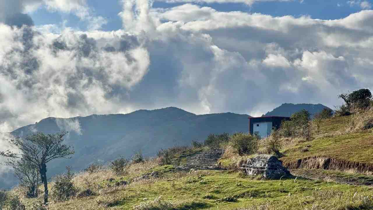jaubari