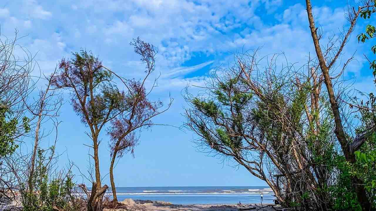 Bengal Offbeat
