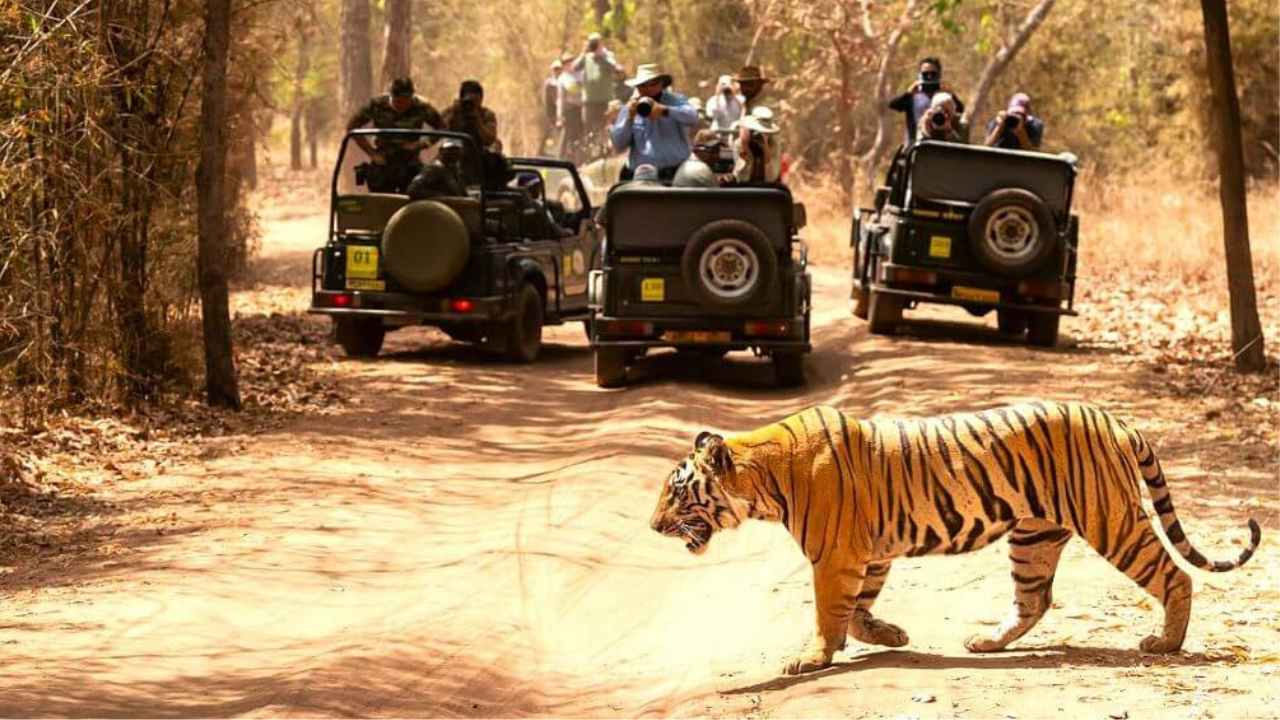 Bengal Safari Jhargram