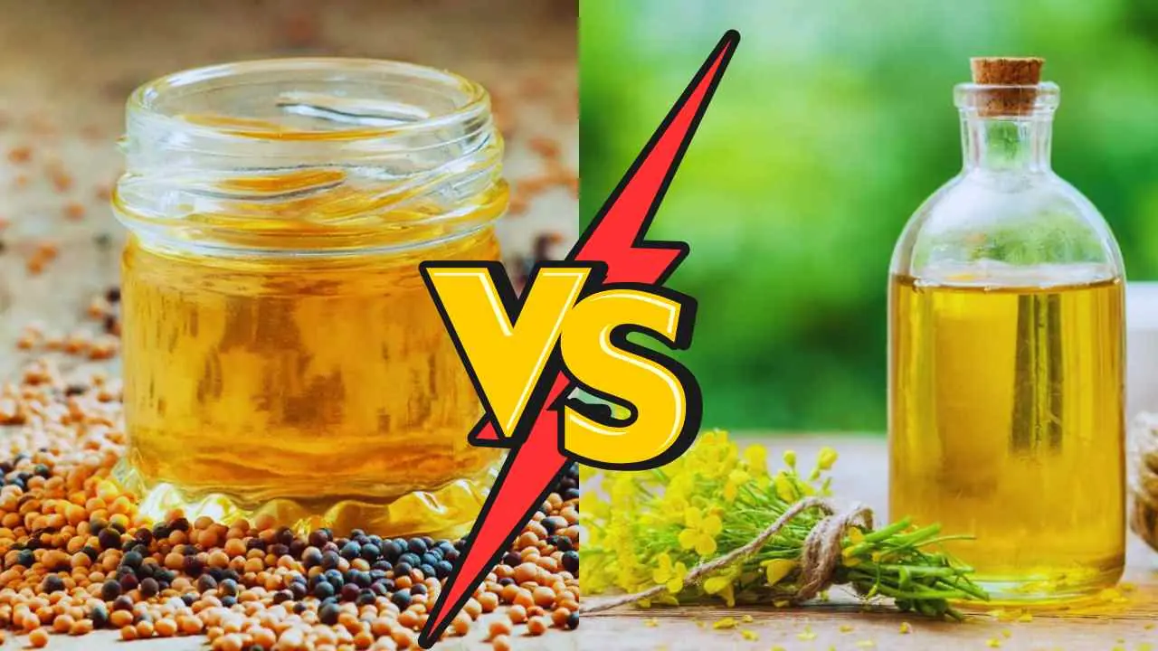 Cooking Oil