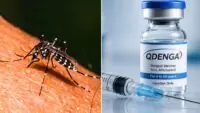 Dengue Vaccine