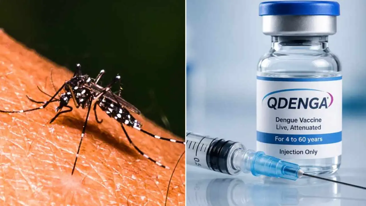 Dengue Vaccine