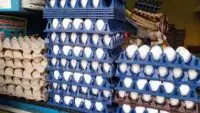 Egg Price