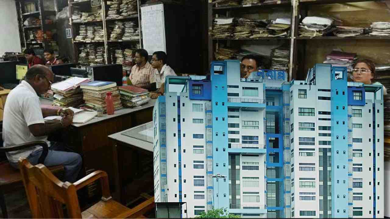 Government Employees