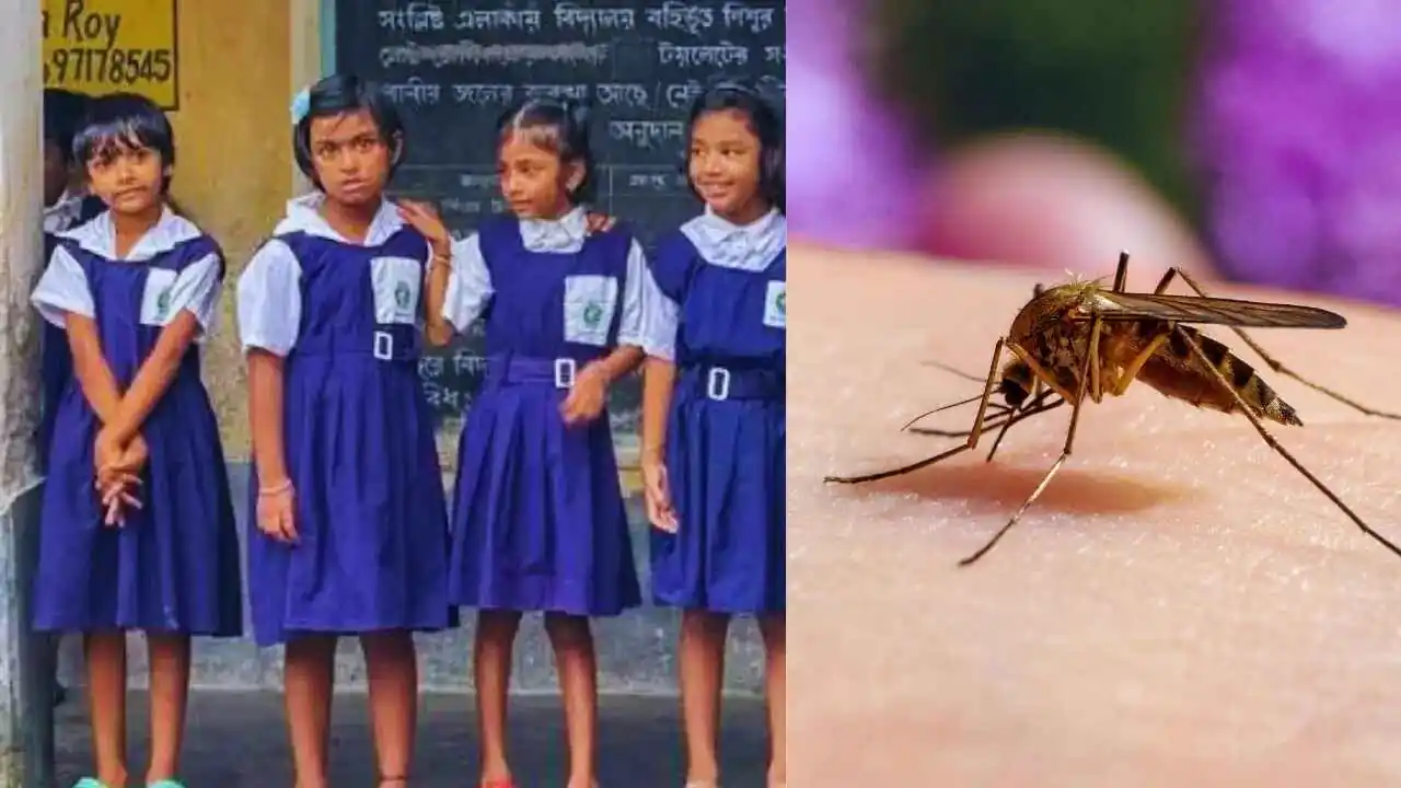 Government Schools