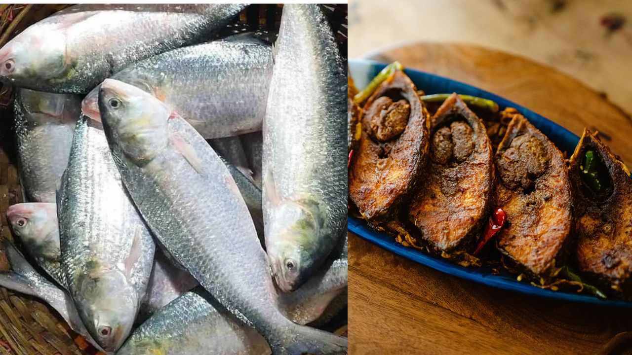 Hilsa Ilish