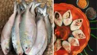 Ilish Fish