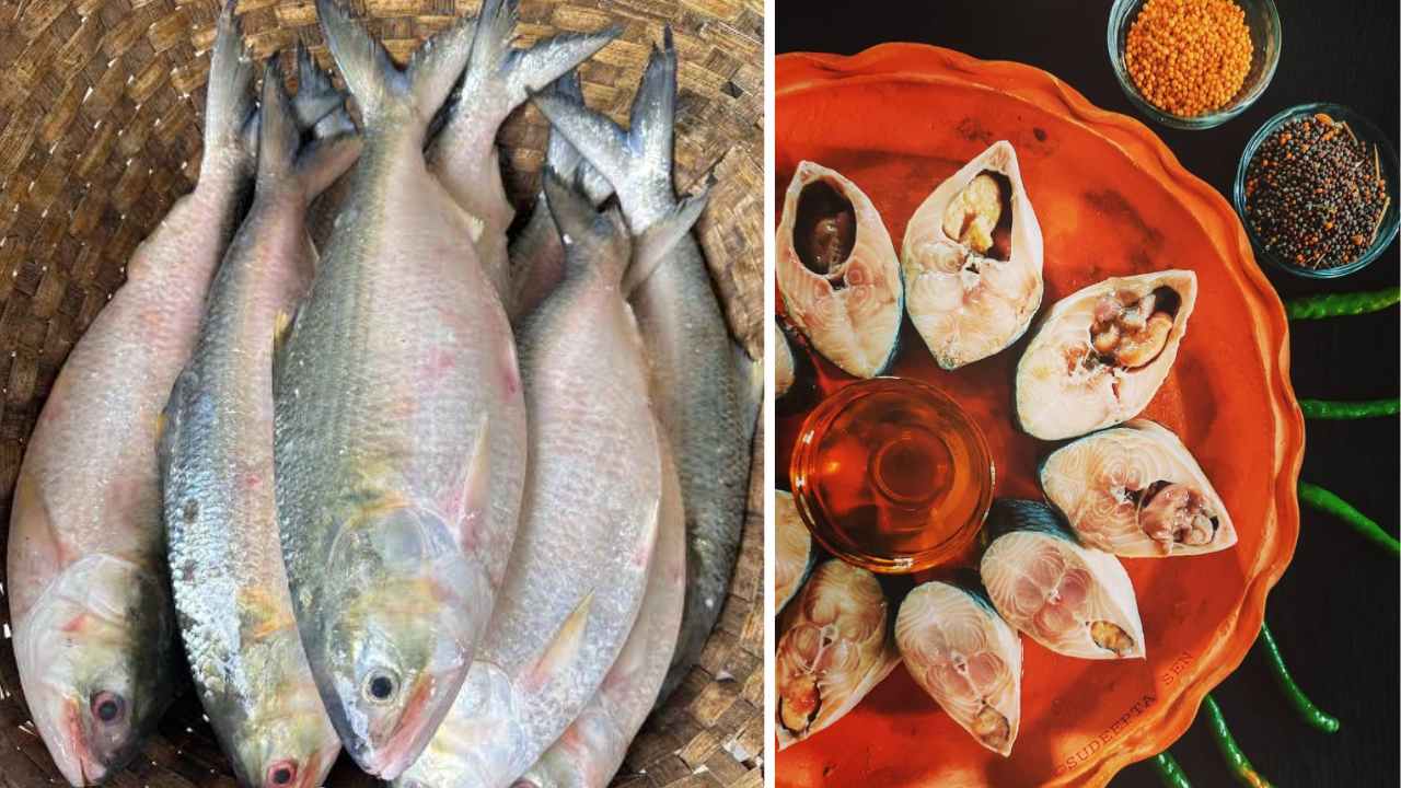 Ilish Fish