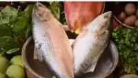 Ilish Fish