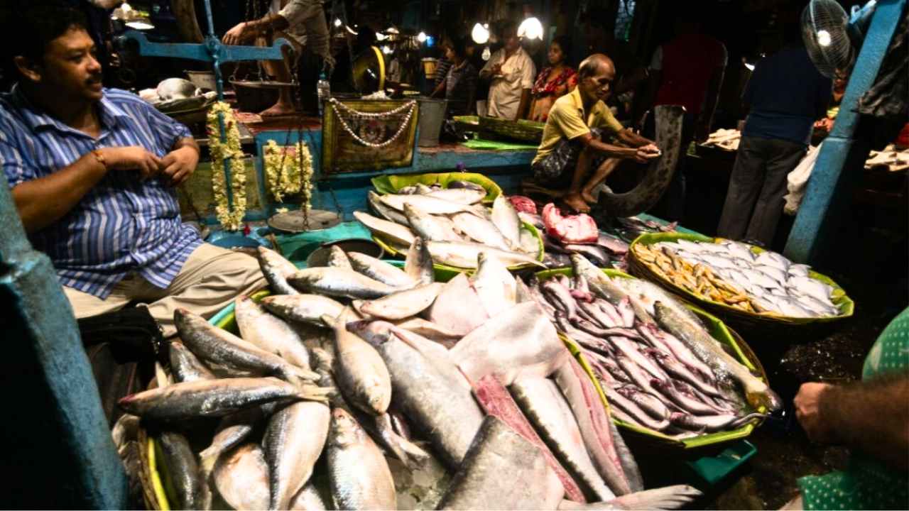 Ilish Price in Kolkata