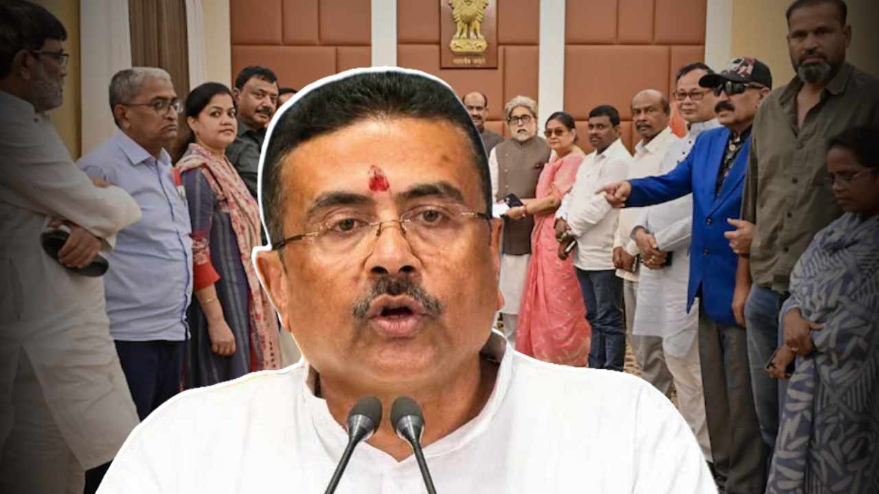 NCPI MP