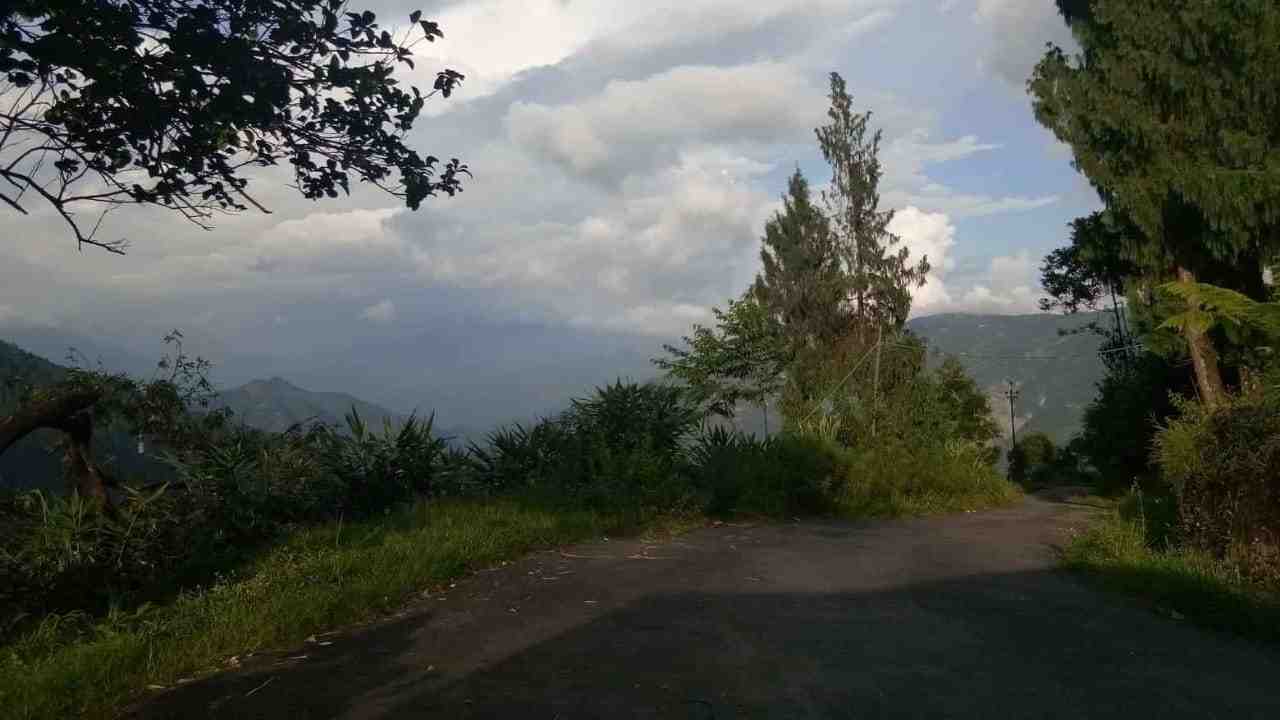 North Bengal Toryok