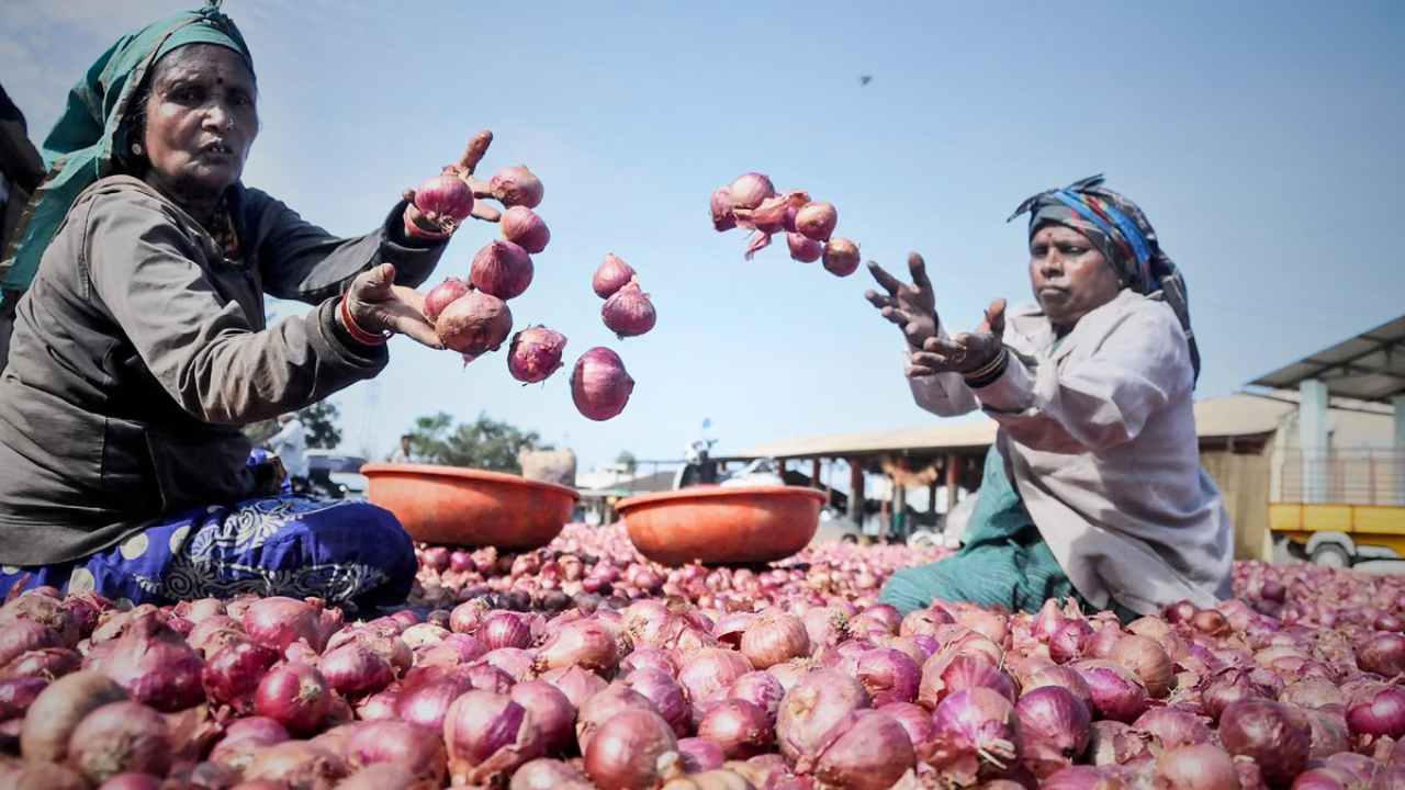 Onion Price