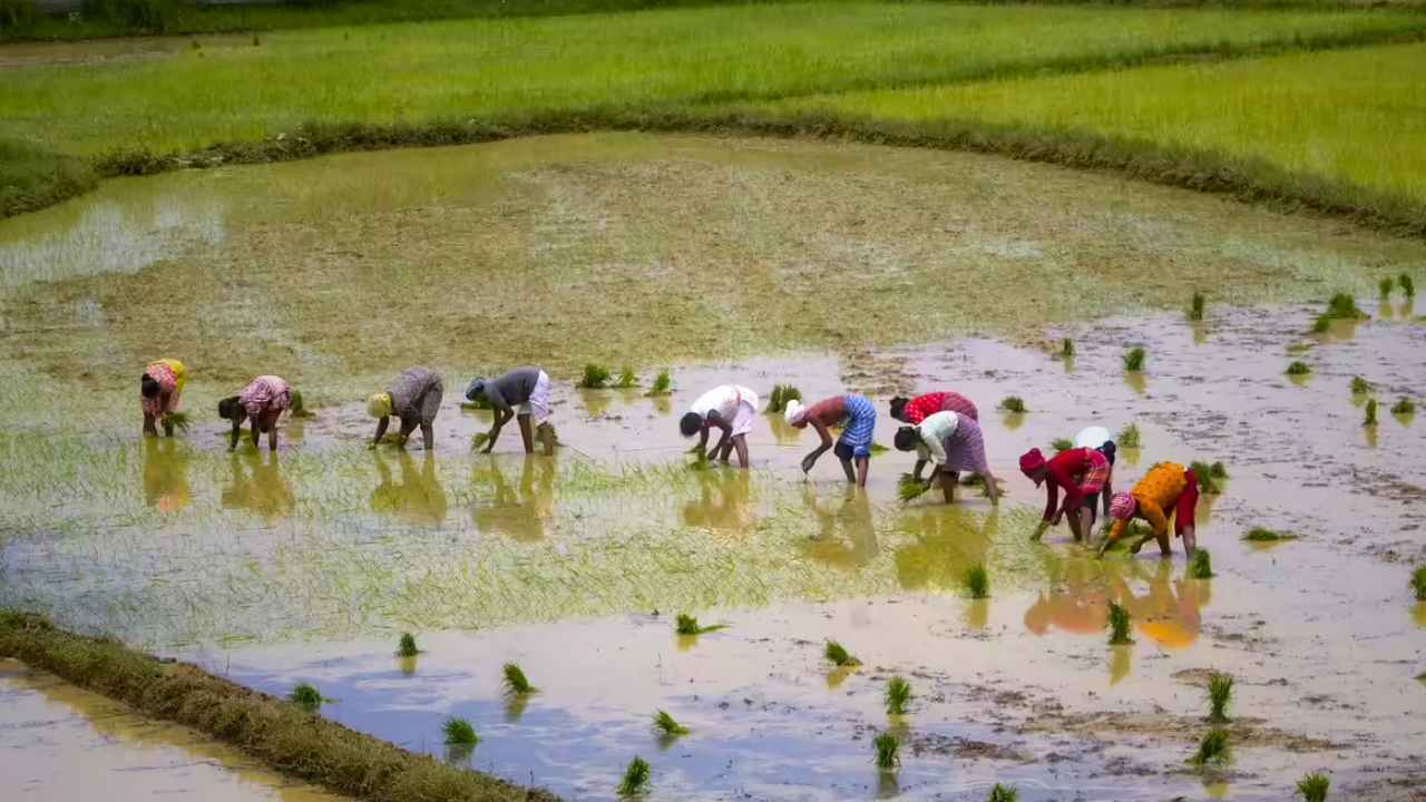 PM Fasal Bima Yojana West Bengal