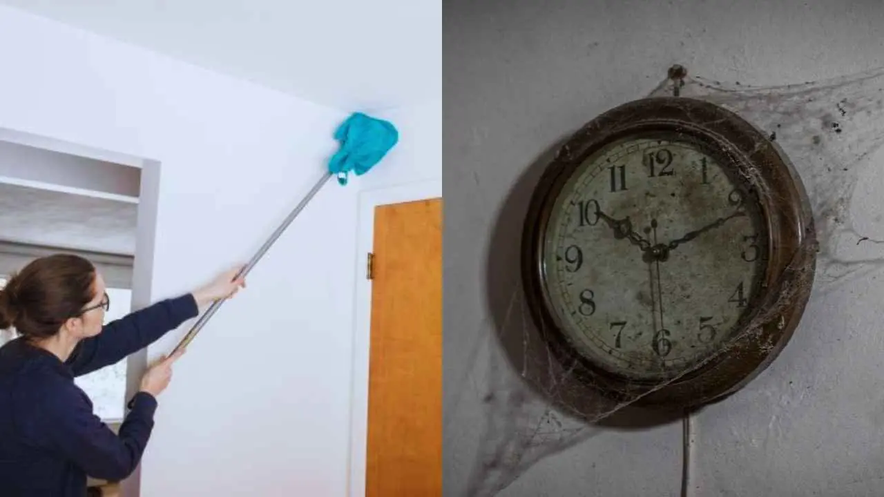 Reduce Dust In Home