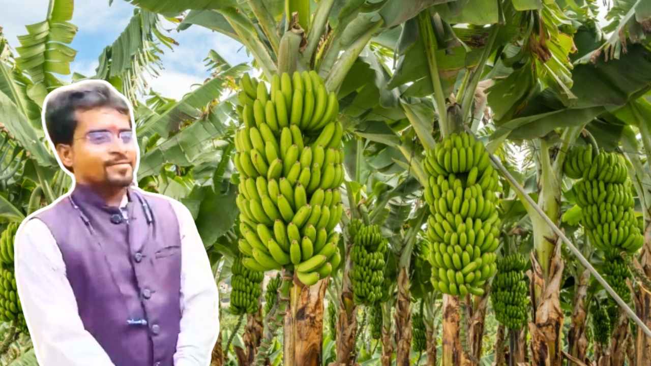 Success Story of Bipin Kumar Jha