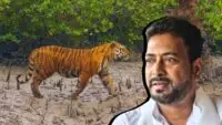 Sundarban