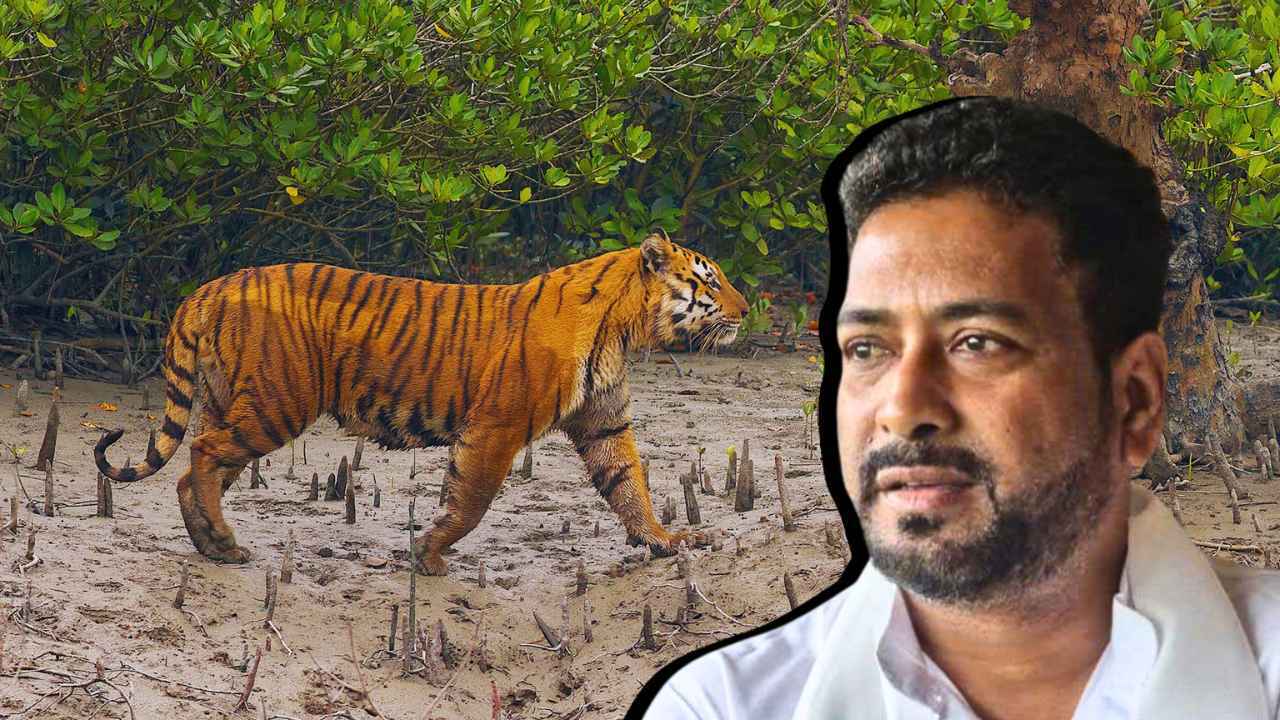 Sundarban