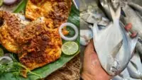 Tileswari Pomfret