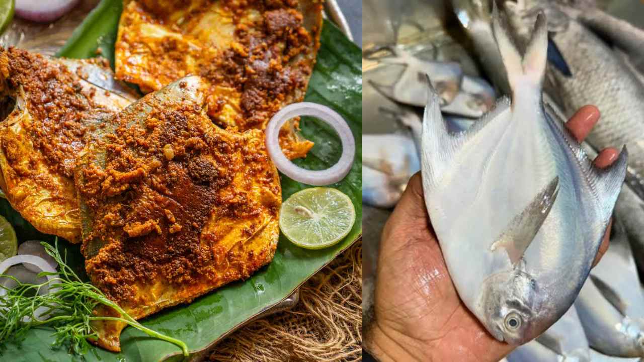 Tileswari Pomfret