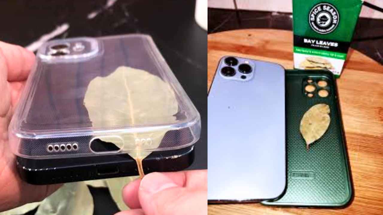 Bay Leaf Phone Cover Trend