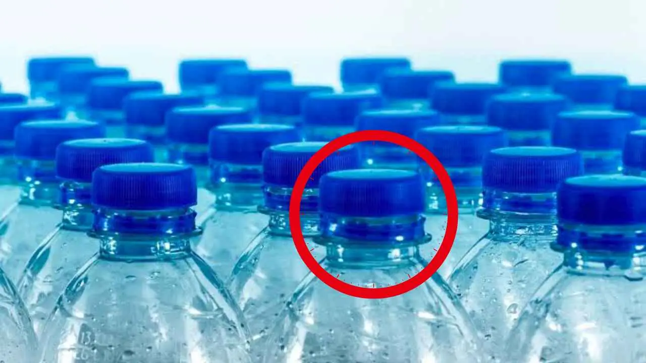 Bottle Caps
