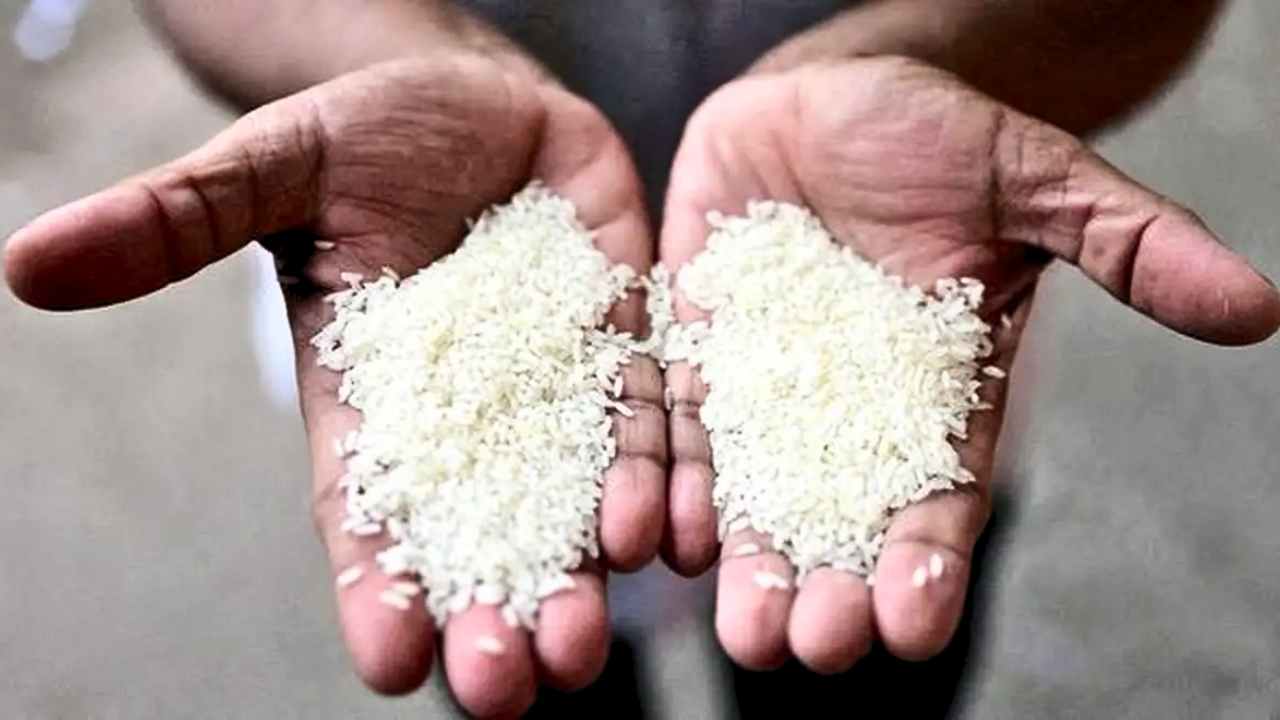 Broken Rice in Ration
