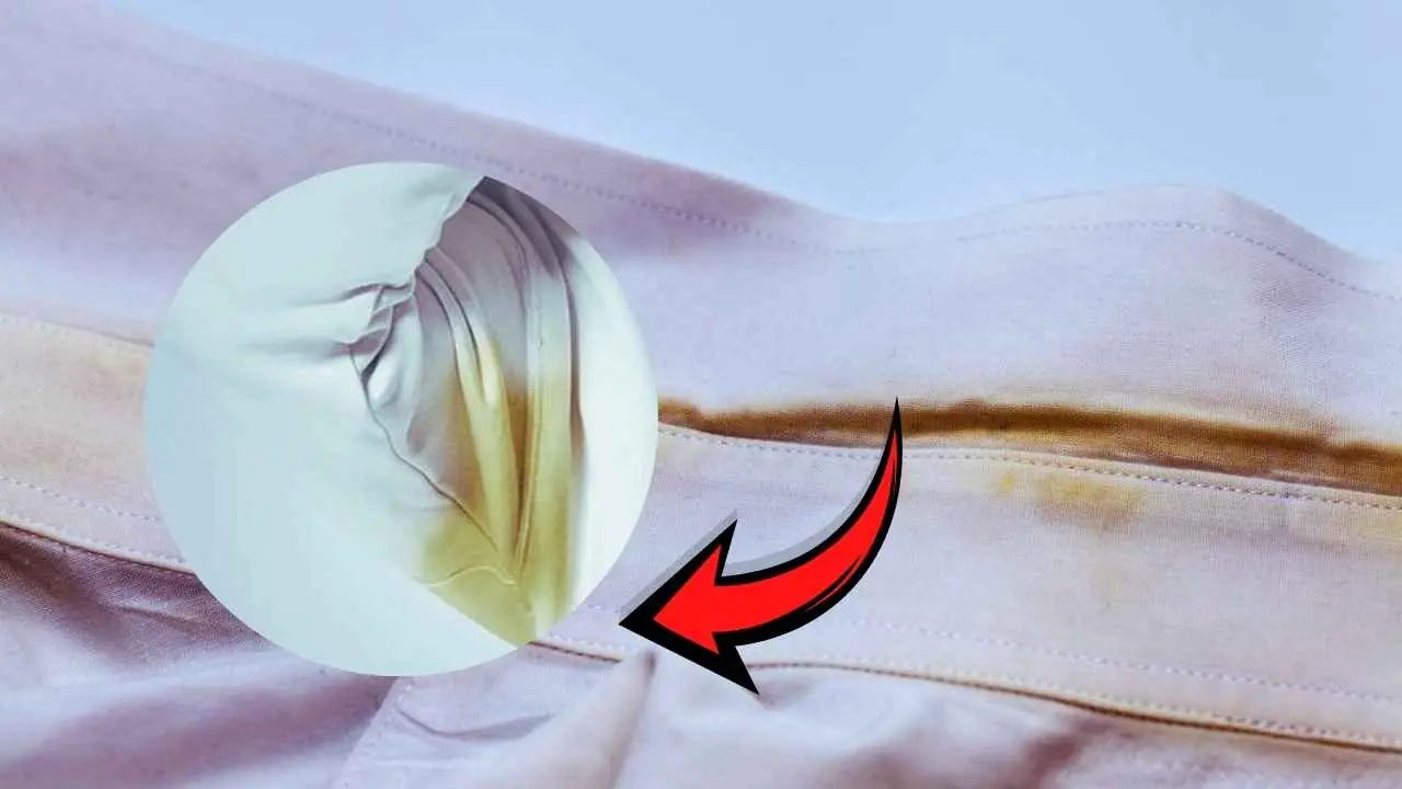 Cleaning Tips