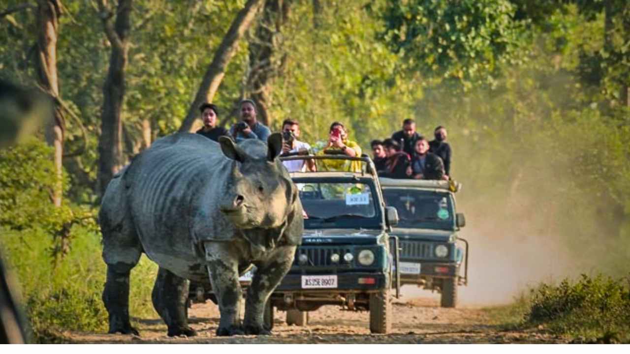 Dooars Gypsy Safari