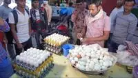 EGG Price