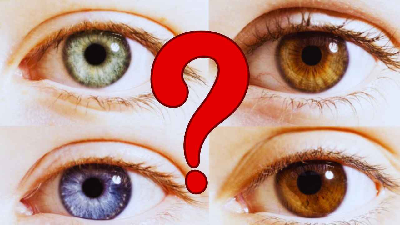 Eye Color