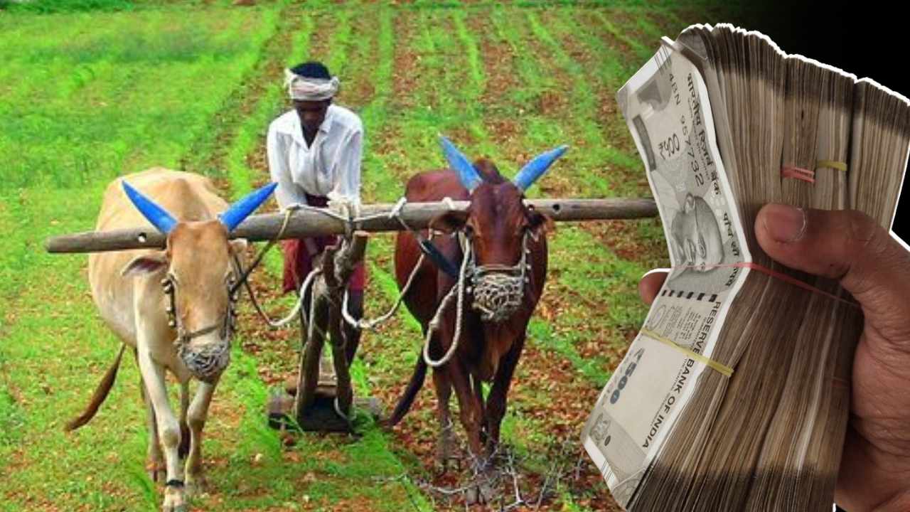 Farmer