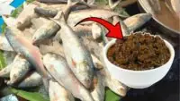 Ilish Aachar