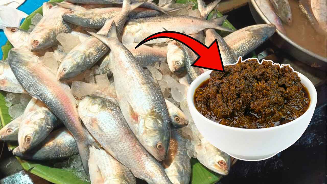 Ilish Aachar