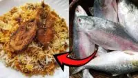 Ilish Biriyani