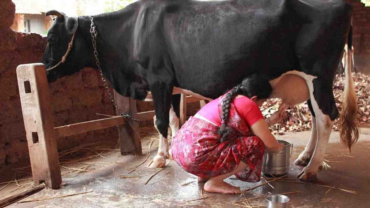 Milk Price Hike
